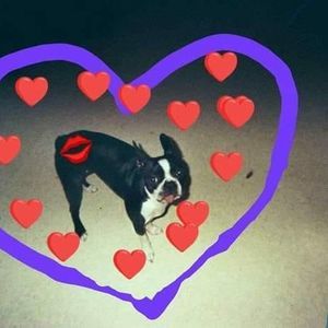 Meet your Posher, Carole